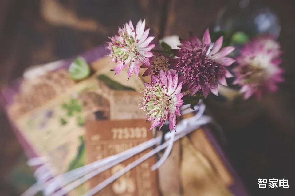 中兴|卖家电为生的家电企业, 为何干起家电回收的生意?