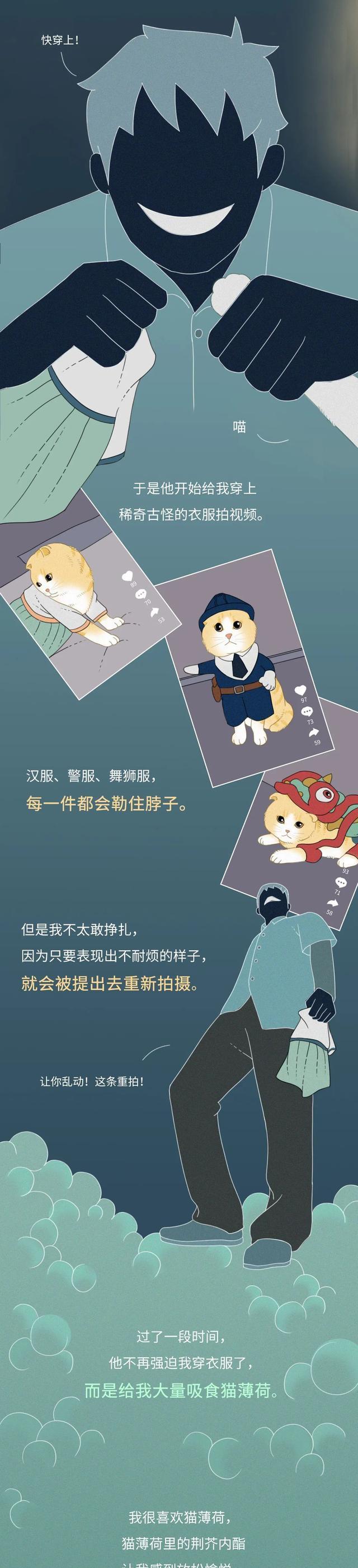 |熱搜上的“網紅寵物”，背后藏著多少虐待與凌辱？一組漫畫科普！