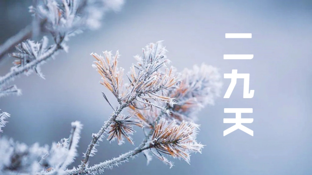 牛肉|明日进二九天，建议大家，饮食常备“4个一”，应季而食平安过冬