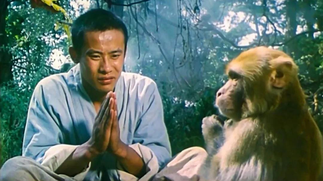 报国寺|38年前的暗黑武侠片，八百罗汉抗击金兵，因剧情大胆，被埋没至今