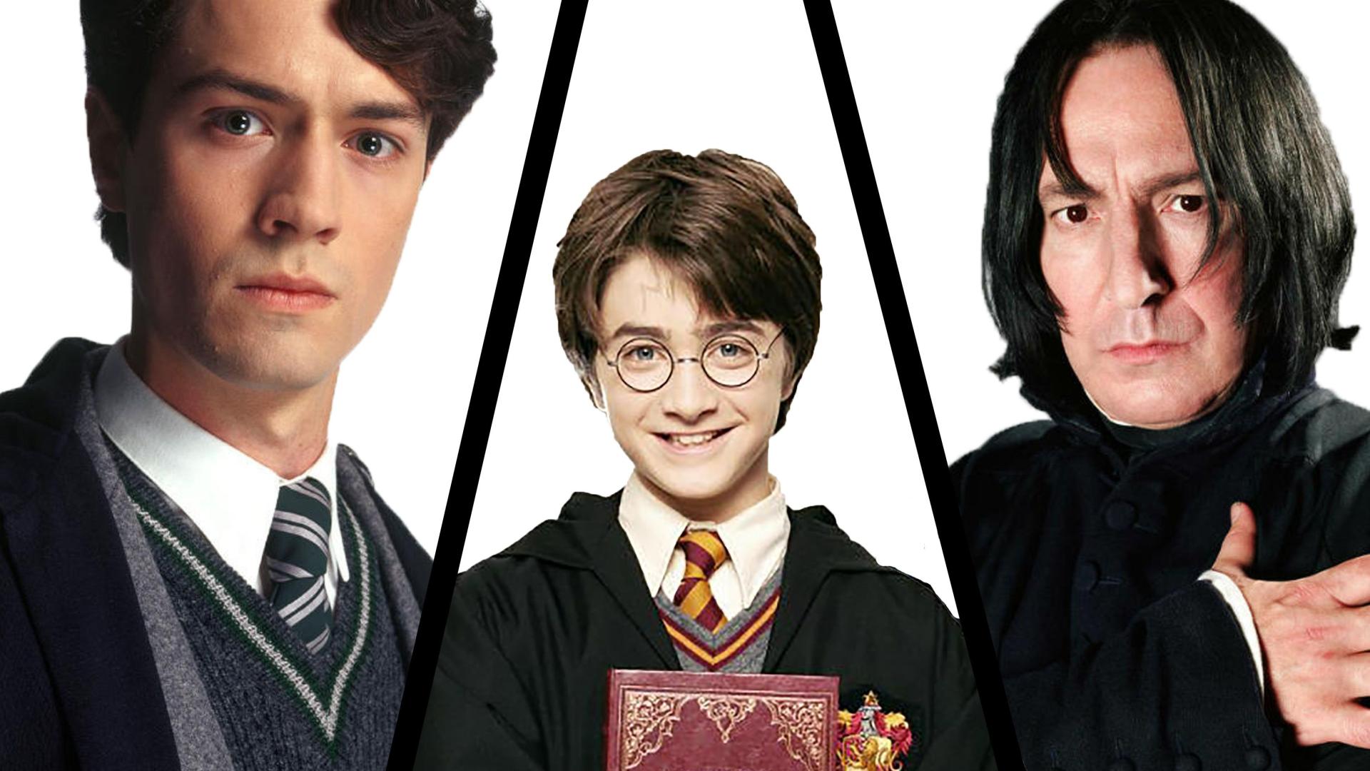 尽管赫敏·格兰杰很受《哈利波特》迷的喜爱，但是这并不妨碍她成为她的忠实拥趸