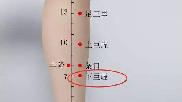 按摩|经络穴位，一日一学——下巨虚，主治胃肠病症
