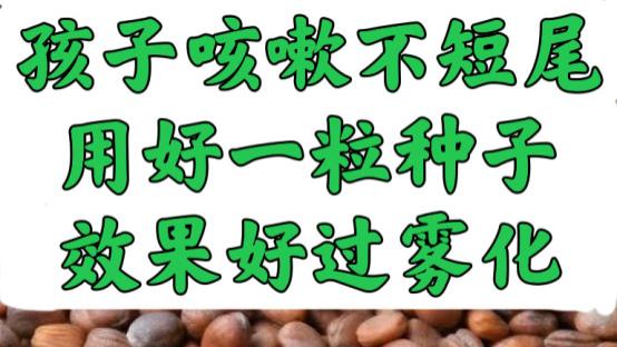 雌激素|咳嗽收尾期，嗓子总有一口痰？用好一粒种子