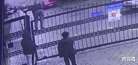 “2万彩礼和20万彩礼的区别，说得太贴切了”哈哈哈