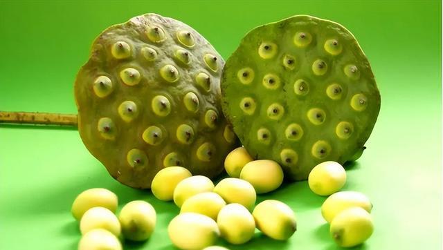 除湿机|种子是粮食界的“芯片”，一旦欧方断供，中国、俄罗斯都有影响？