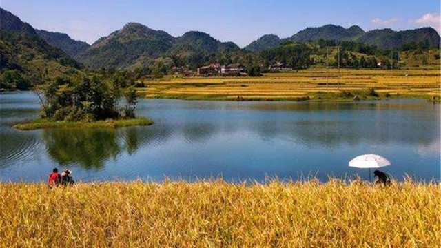 |渔乐杂谈：夏季钓鱼方法与技巧简述