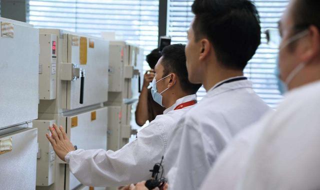 翻译|市场份额仅次于“苹果”？荣耀独立后终于撕下“中低端” 标签