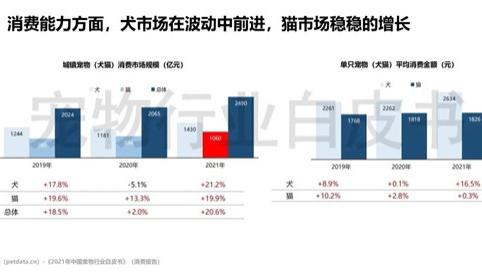 宠物行业新兴职业：宠物营养师的发展历程以及社会需求