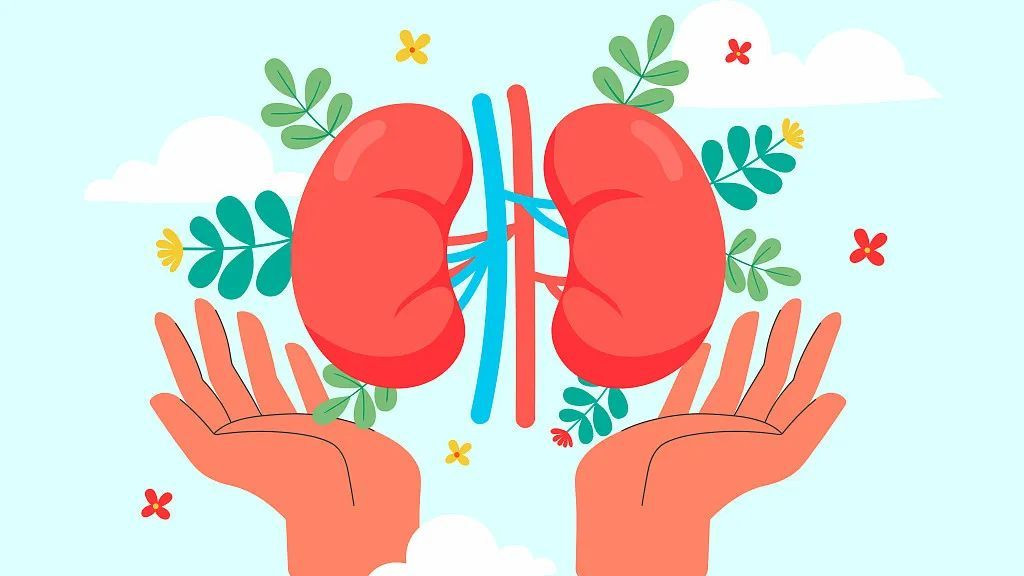 西地那非|透支的肾，是补不回来的！请好好呵护