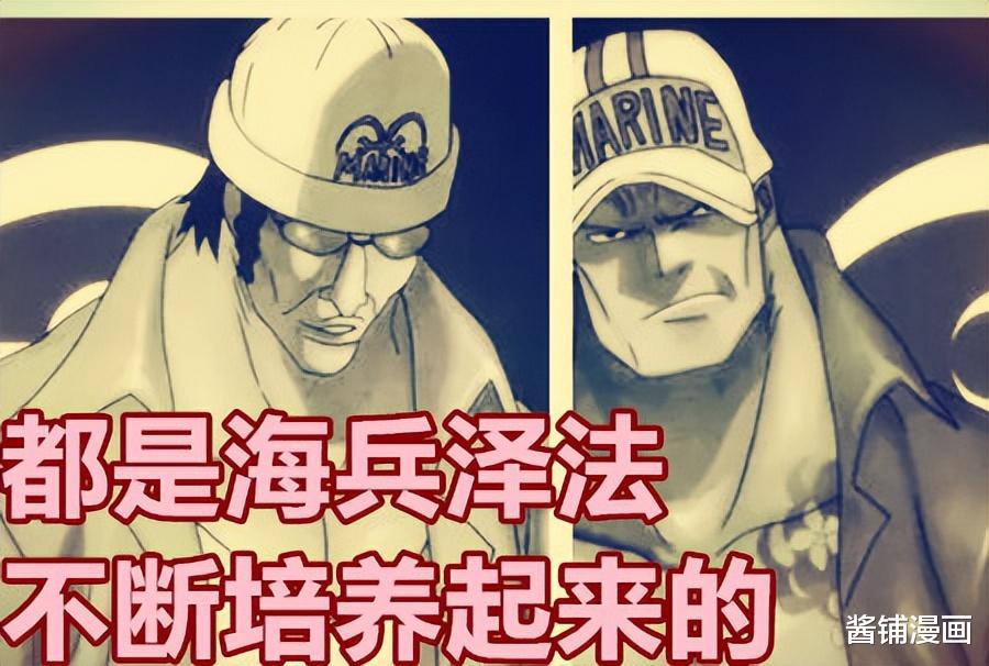 五老星|海贼王1049话，少年凯多悬赏七千万，五老星本想培养凯多成为赤犬与黄猿