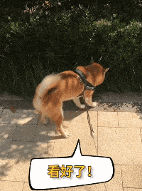 固态硬盘|“女老师课后忘关投影仪，搜索记录被公开...”