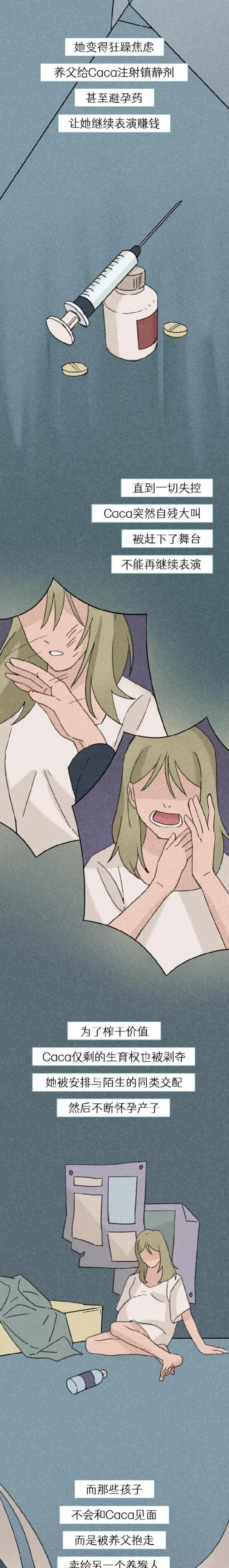 天道佩恩|囚禁，鞭挞，怀孕……被迫“表演”的猴子，也太苦了！（漫画科普）