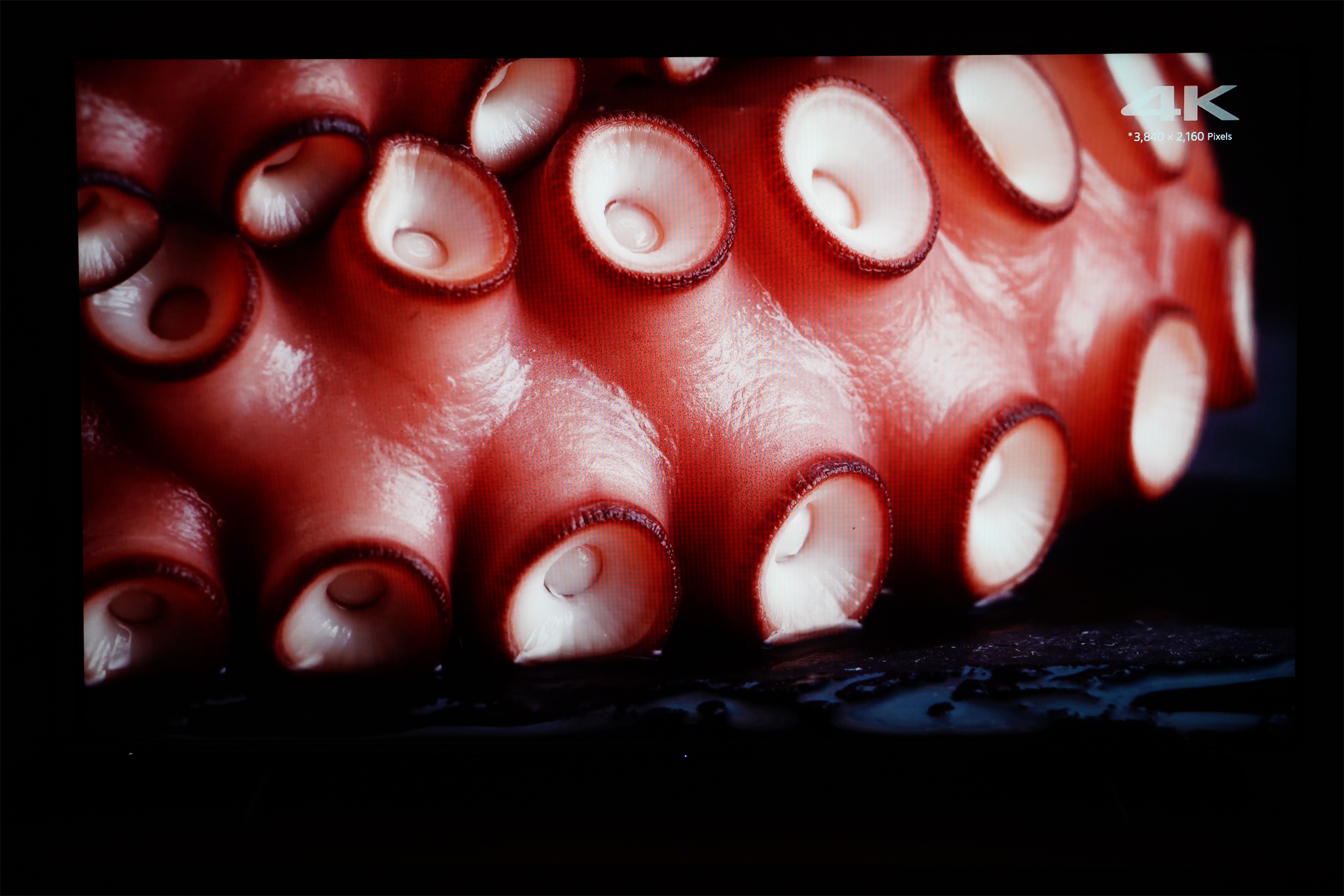 |家庭的快乐中继站——海信原画旗舰电视E5H体验分享