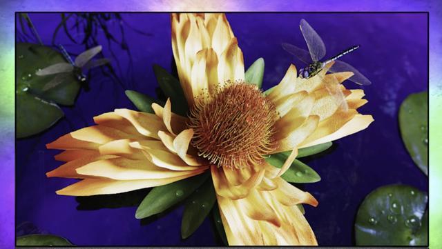 苹果|国内厂货有卖，飞利浦推旗舰OLED电视：超高亮度加回音壁