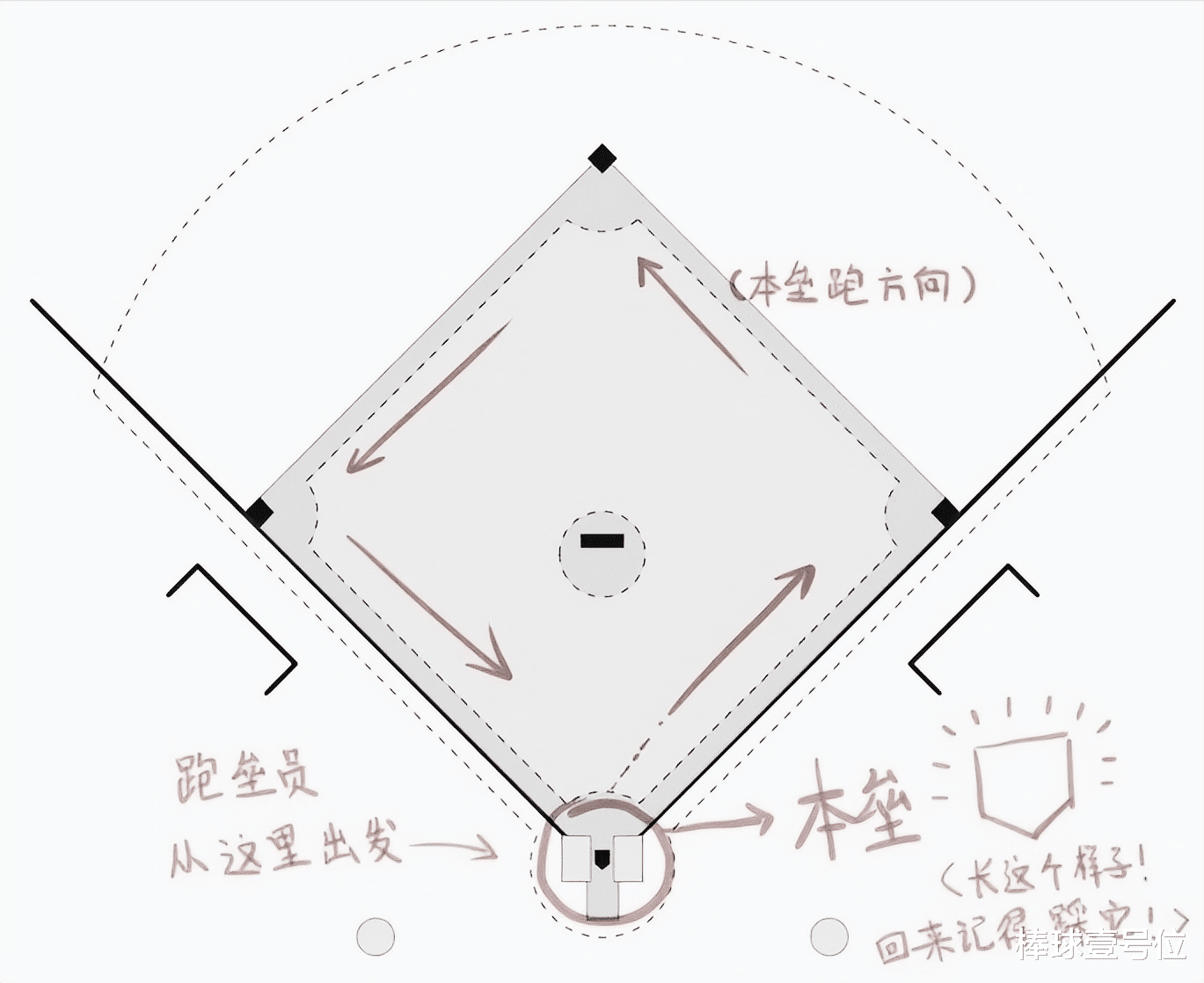 海贼王|棒球入门知识1.0