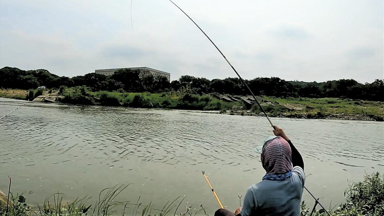 |野外钓鱼，用这几种方法，可快速判断水里是否有鱼，鱼会不会开口