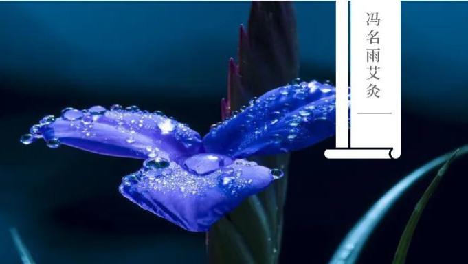 眩晕|眩晕：改善脑供血不足，缓解头部眩晕，这个穴位有奇效