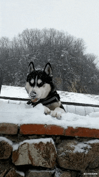 “和网恋女友第一次约会,接下来要干嘛?”网友话里有话啊!