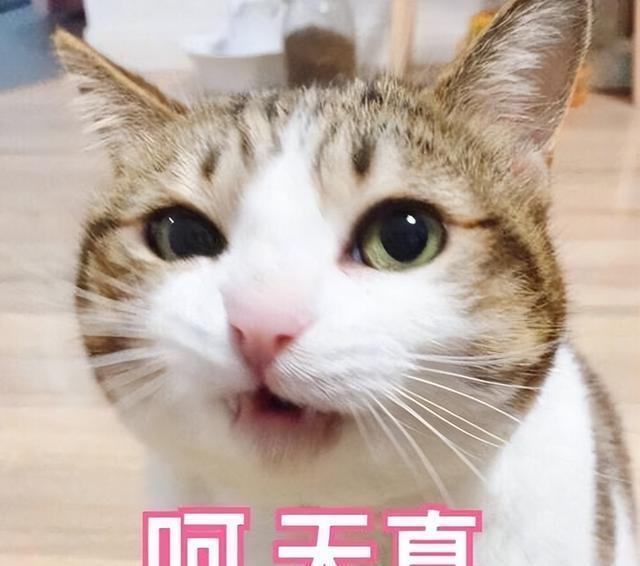 空调|“公司电脑开机慢，老板让我提前15分钟来上班”：烂公司5个特征