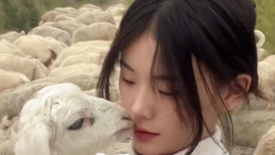 阿力木|灰太狼的羊：8分钟噶一只羊，清纯长相粗暴宰羊，被称荒漠屠夫！