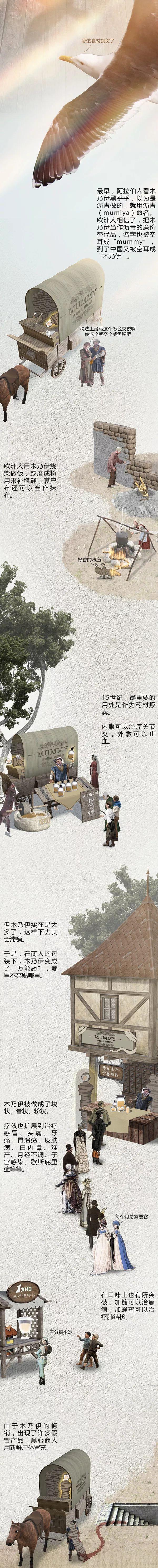 木乃伊|埃及木乃伊“千年不腐”，背后究竟有何「奥秘」？（漫画科普）