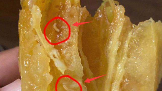 潘粤明|潘粤明被恶心到了，杨桃吃了一大半，才发现里面有蠕动的白色小虫