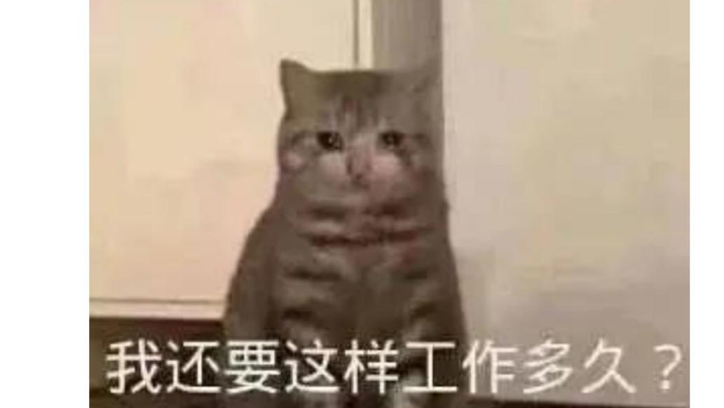 |九五后年轻人打工实录：“每天都想辞职，月月都是满勤”