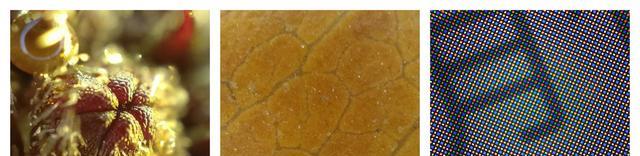 OPPO|5nm旗舰降价1000,60倍放大+IP68,OPPO也厚道了