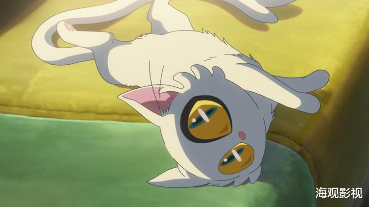 铃芽户缔|新海诚新作《铃芽户缔》公开角色介绍11月11日在日本上映