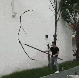 |“这是小蛇出了轨,还是青蛙劈了腿?”现实版的美杜莎女王吗?