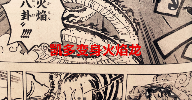 青雉|海贼王1048话：凯多变身成为火龙，路飞要如何灭火？需要青雉帮忙