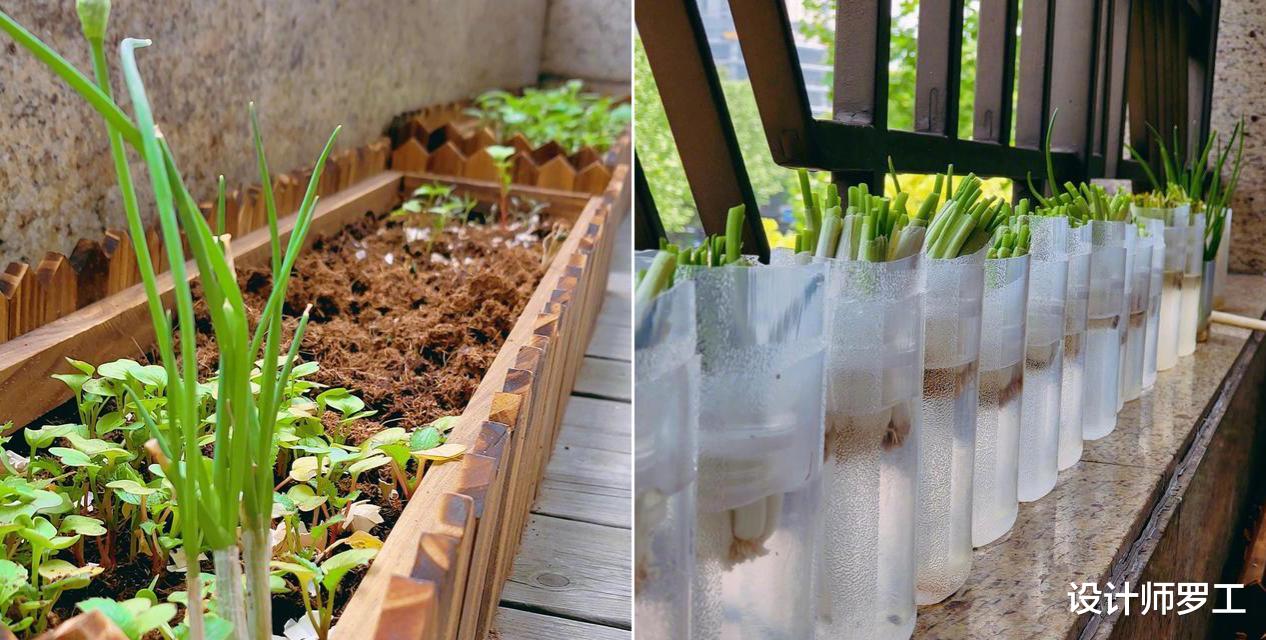 49岁蔡少芬在香港的80㎡豪宅,全屋极致利用,家虽小但过得很幸福