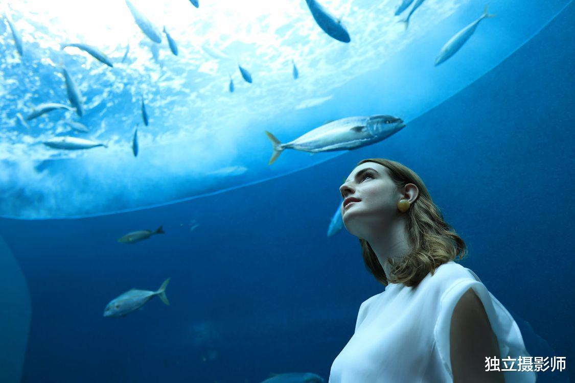 佳能|佳能发布新品镜头RF15-30mm STM与RF24mm STM