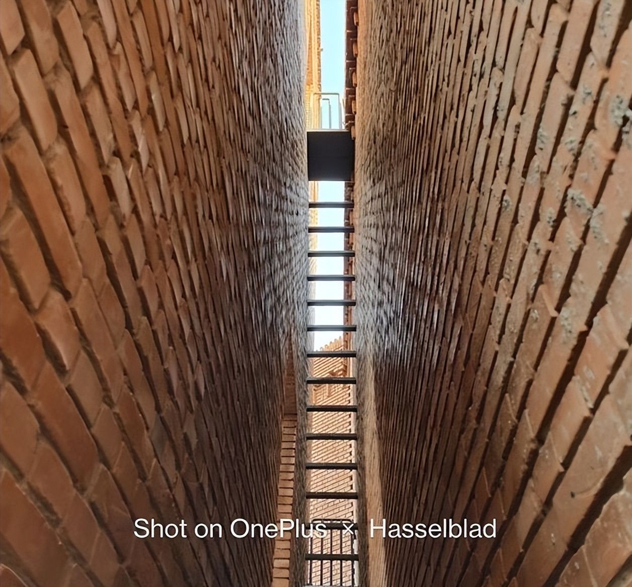 一加科技|有哈苏2.0系统加持之下的一加10pro，真实拍照能力如何？