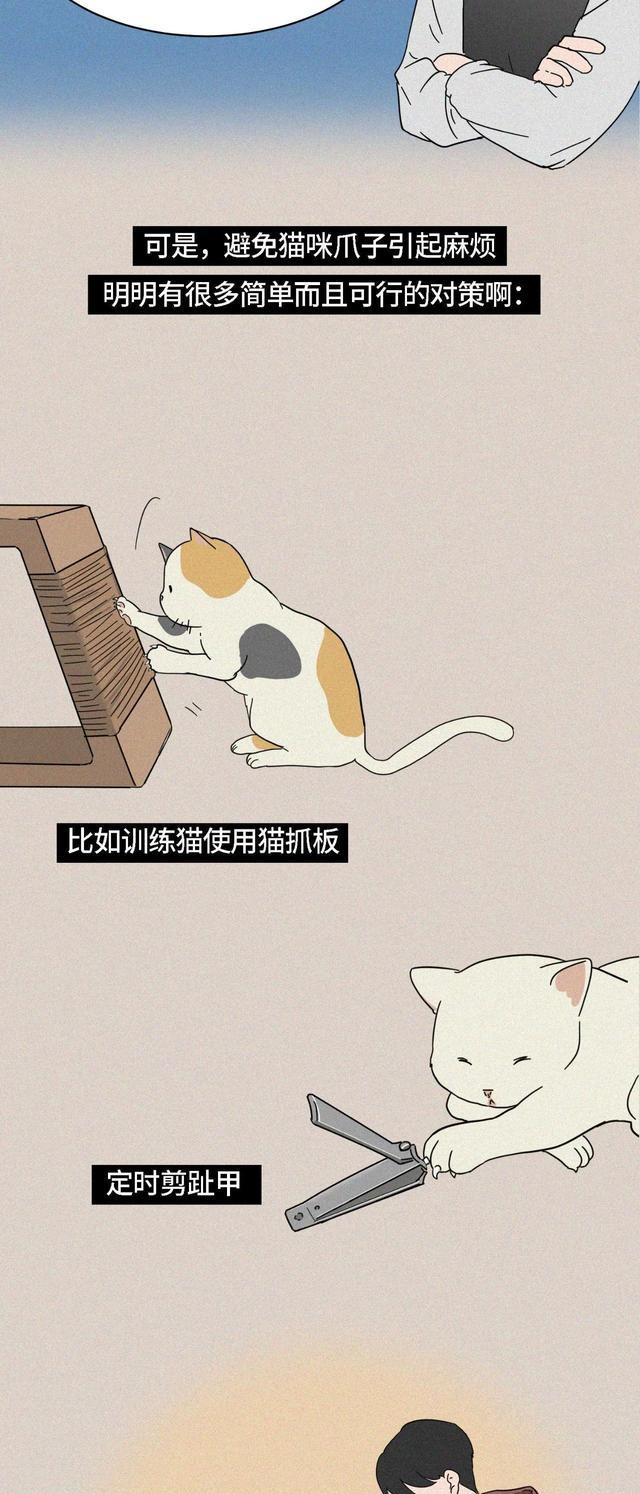 acgn漫评|“我逃过了虐猫者，却没逃过这场手术！”（漫画科普）看完好心疼