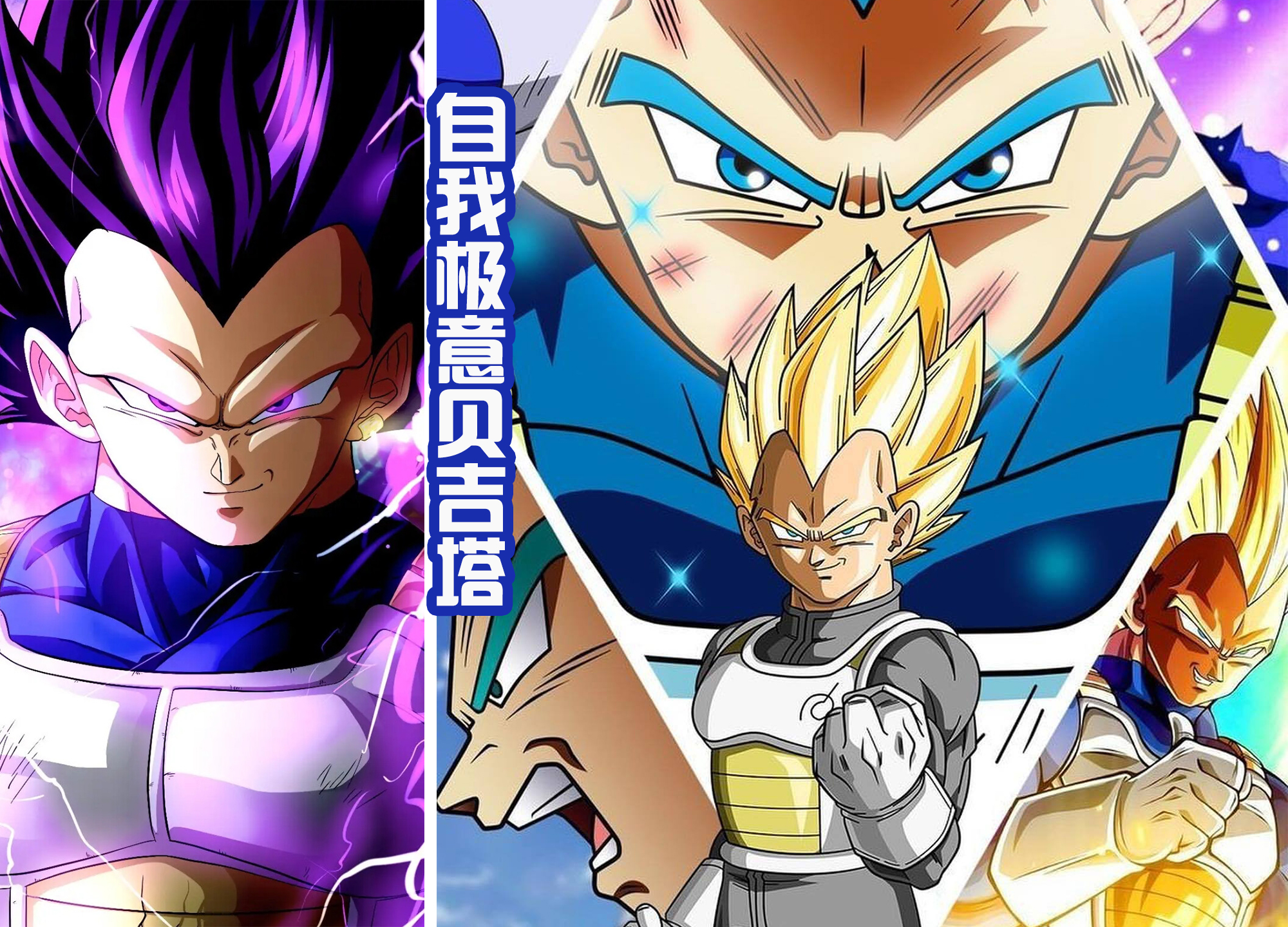 悟饭|六位赛亚人不同的进化之路,悟饭和悟空爱白发,贝吉塔是紫发!