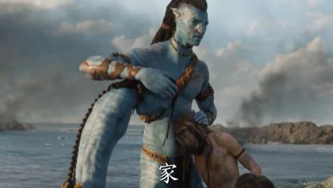 阿凡达2|《阿凡达2》宣布年底上映，吓退2部大片，卡梅隆谈票房：像扔骰子