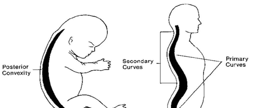 “妈妈,我得用枕头了”,宝宝发出2个信号,暗示需要用枕头了