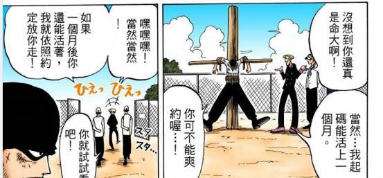 路飞|卓洛和贝鲁梅柏有赌约!卓洛坚信会靠着走出这里!一条硬汉!