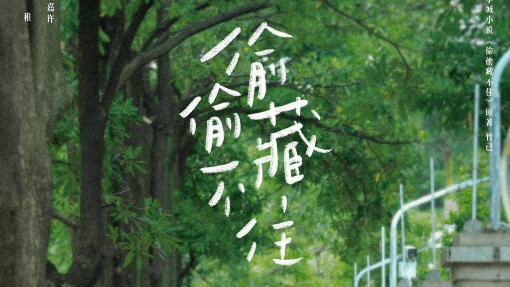 《偷偷藏不住》请偷偷藏起来