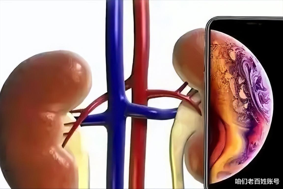 iPhone 14 Pro|10年前,那个卖肾去买苹果手机的湖南小伙,现状如何?