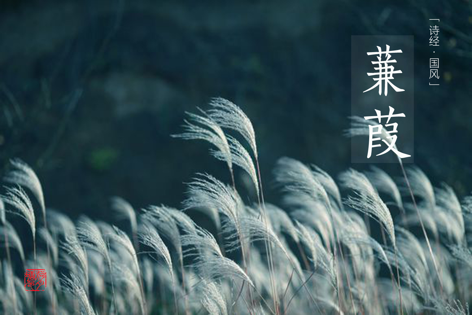 软件|如果数据有心情，今天是什么颜色？ 618移动存储好物体验