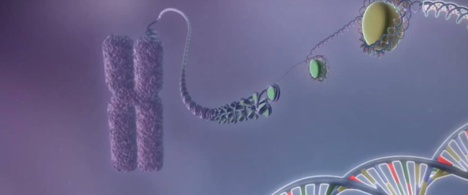 CPU|突破摩尔定律界限?光速CPU每秒运算百万亿次!关键是能量产吗?