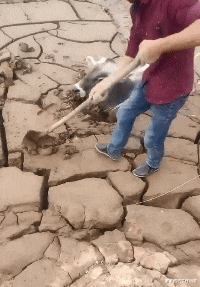 小米科技|“路由器上邦电池，信号特别强！”网友：宇航员都问我要密码！