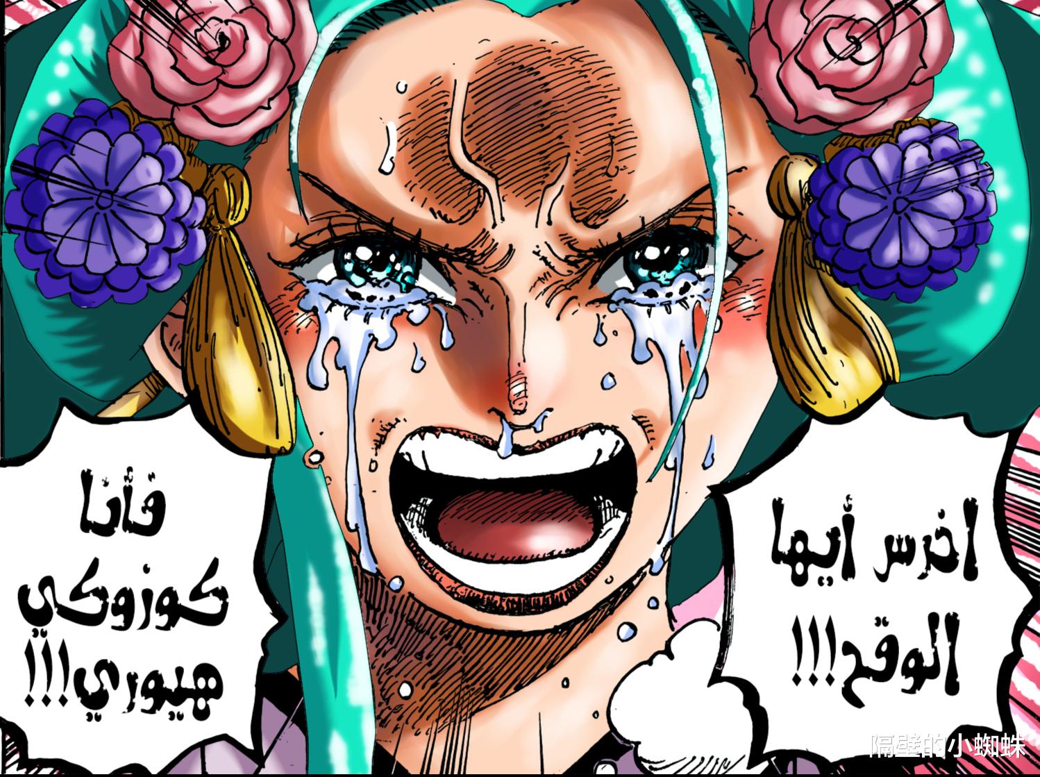 蜘蛛|海贼王1046话分析：雷藏意外解救大蛇一命，日和将完成950话的伏笔