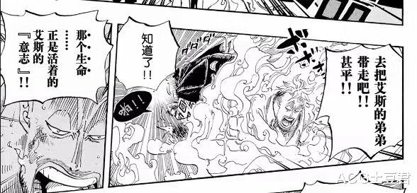 海贼王|为什么在《海贼王》的世界里，被打败的人通常不会离世呢？