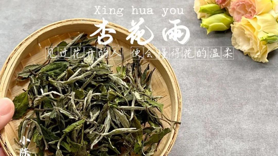口粮茶只要挑便宜的，价格越低越划算？难怪你一直喝不懂白茶