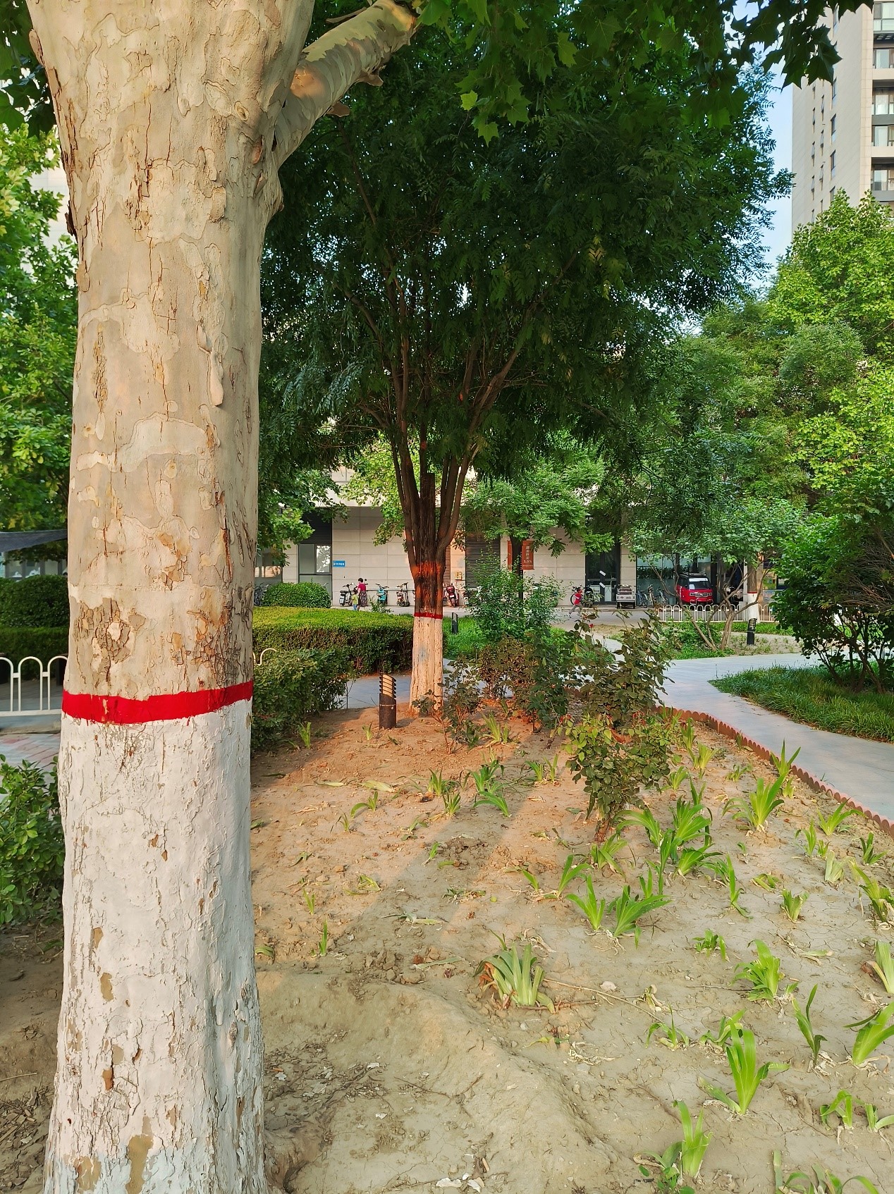 芯片|?vivo S15 pro初体验:性能旗舰轻薄美观,拍照游戏样样拿手