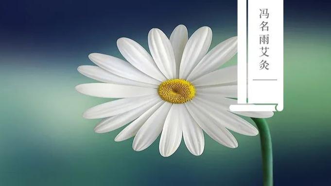 健脾|健脾：脾不好的看过来，这组穴位健脾升阳养胃