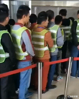 acgn漫评|如果只能灭绝一种，你会选哪种？网友太好玩了！